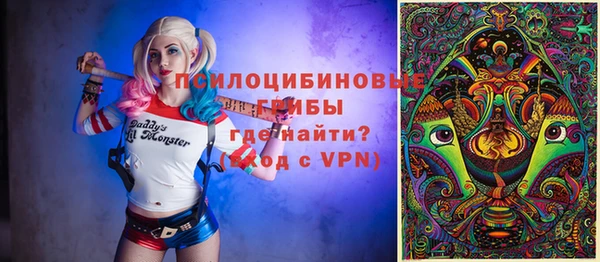 PSILOCYBIN Рославль